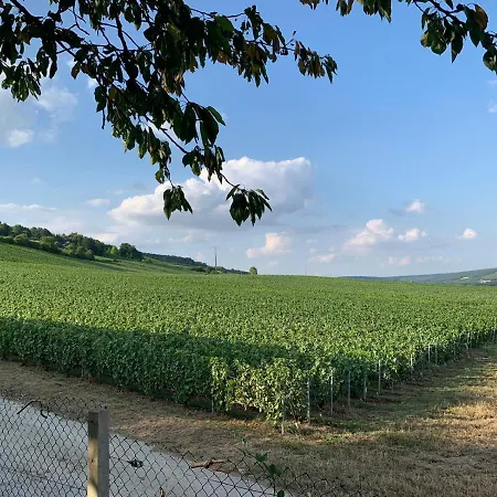 En Rez De Jardin Privat bolig *